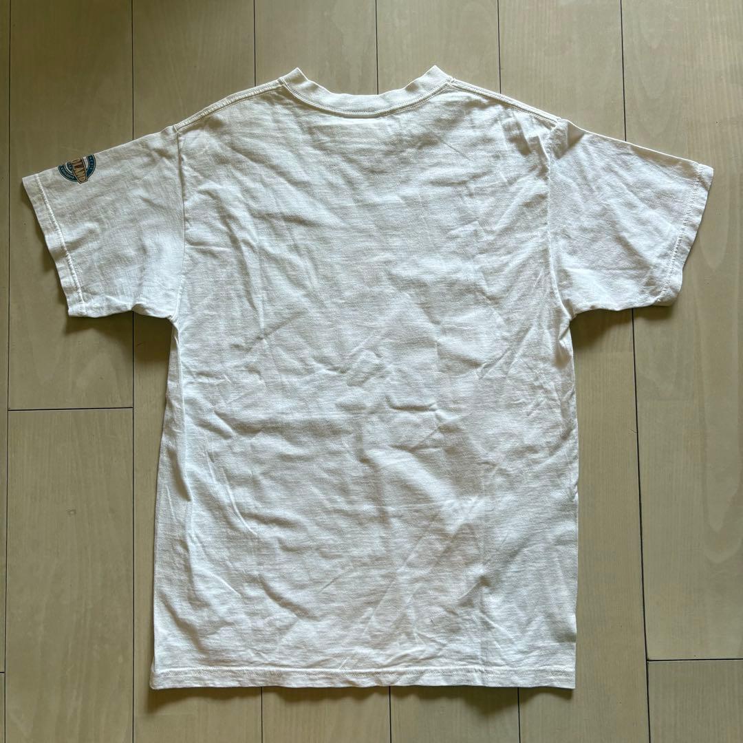 【破格】90s Disney vintage Tシャツ　USA製　ダイノランド