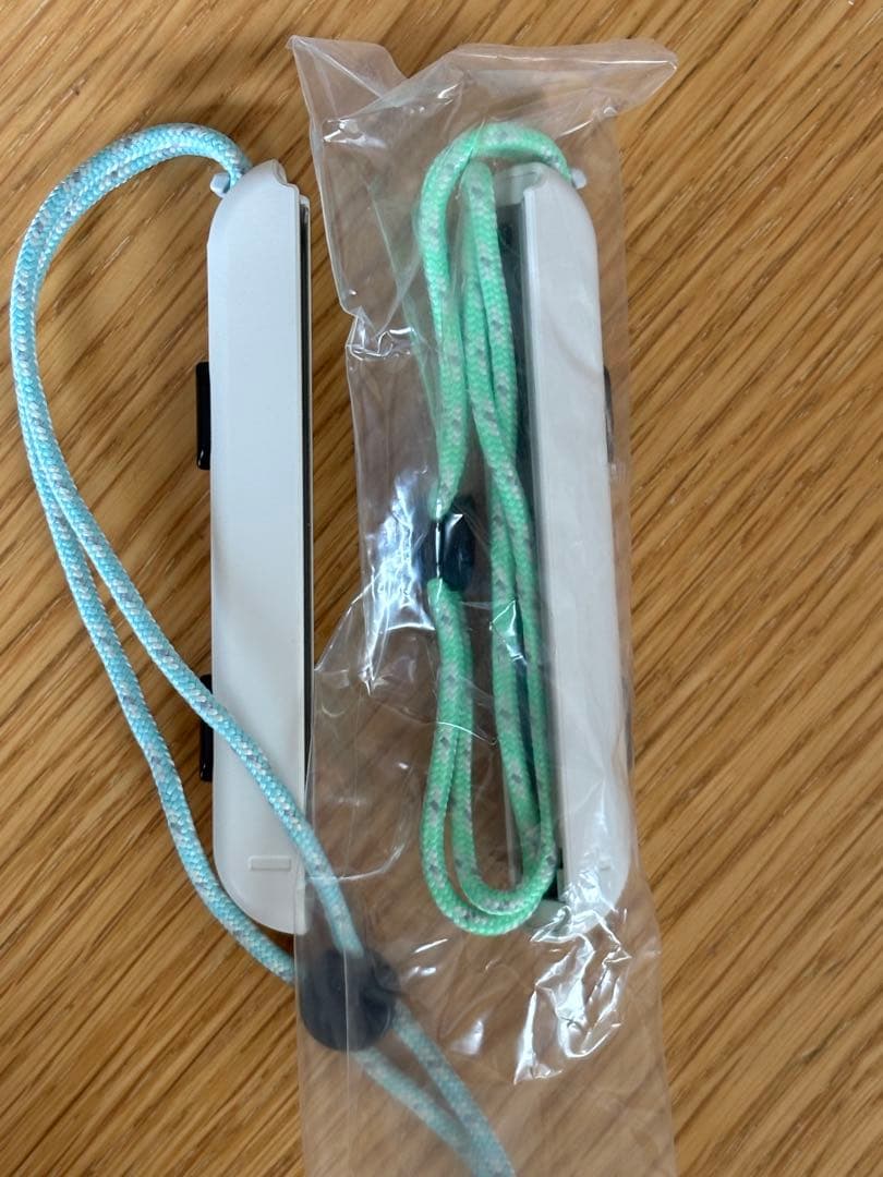 Nintendo Switch あつまれどうぶつのもり本体