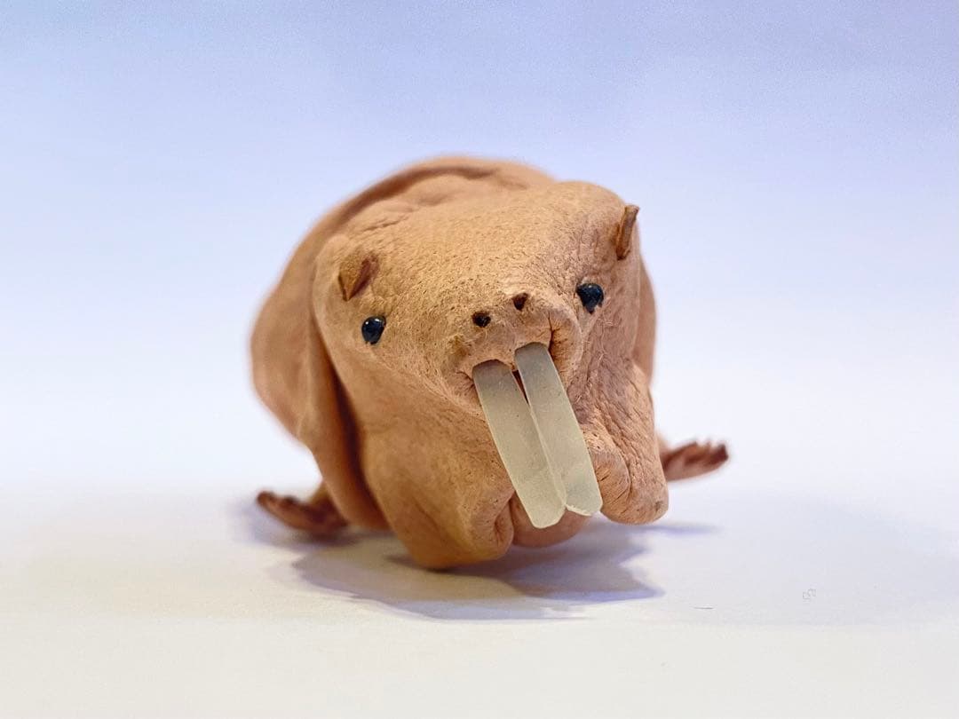 あまのじゃくとへそまがり　ハダカデバネズミ