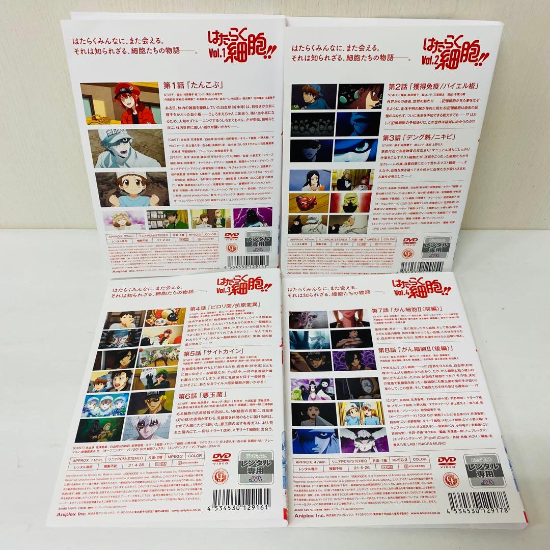 はたらく細胞!!　（2期）DVD　全4巻セット　全巻セット　働く細胞　シーズン2