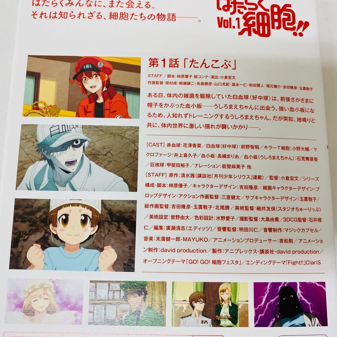 はたらく細胞!!　（2期）DVD　全4巻セット　全巻セット　働く細胞　シーズン2