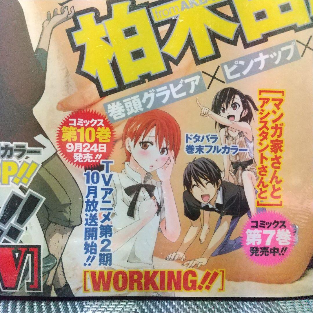 ヤングガンガン 2011年19号※柏木由紀グラビア　ピンナップ※相楽樹 菅野結以