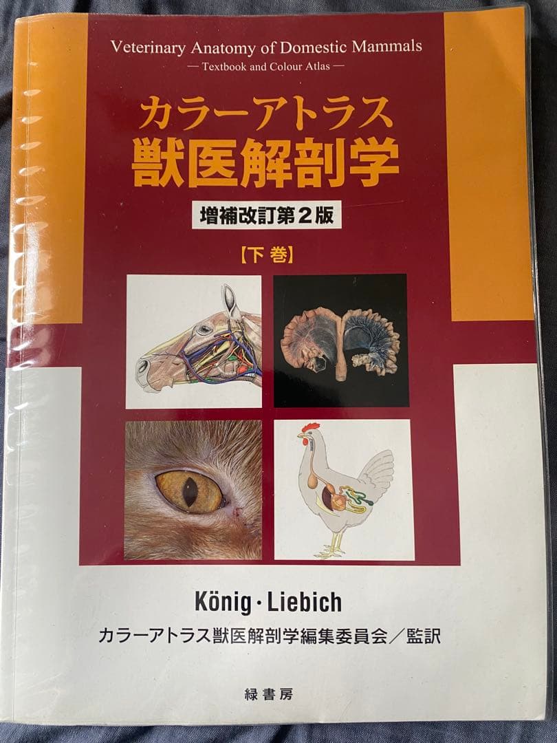 カラーアトラス　獣医解剖学　上下巻セット
