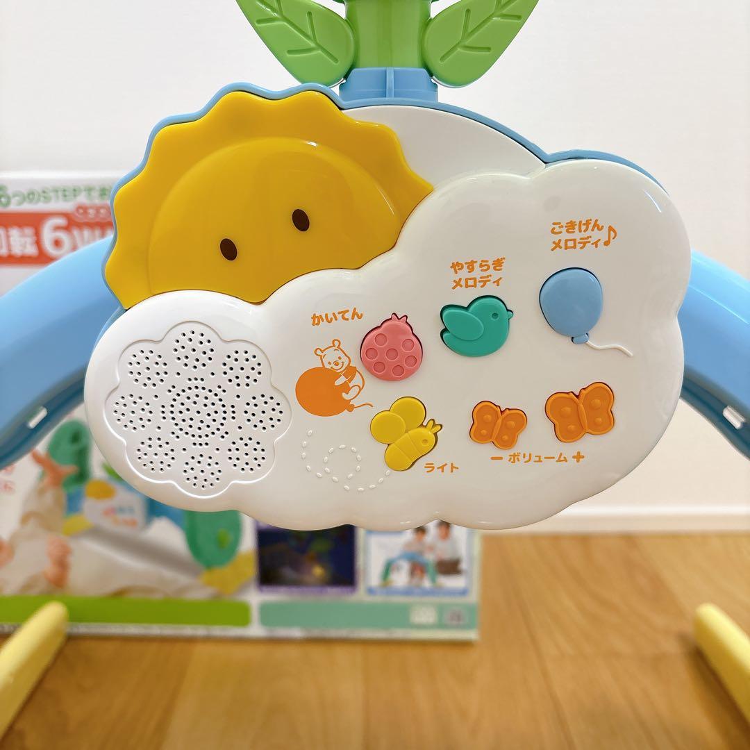 プーメリー（2023年購入品）