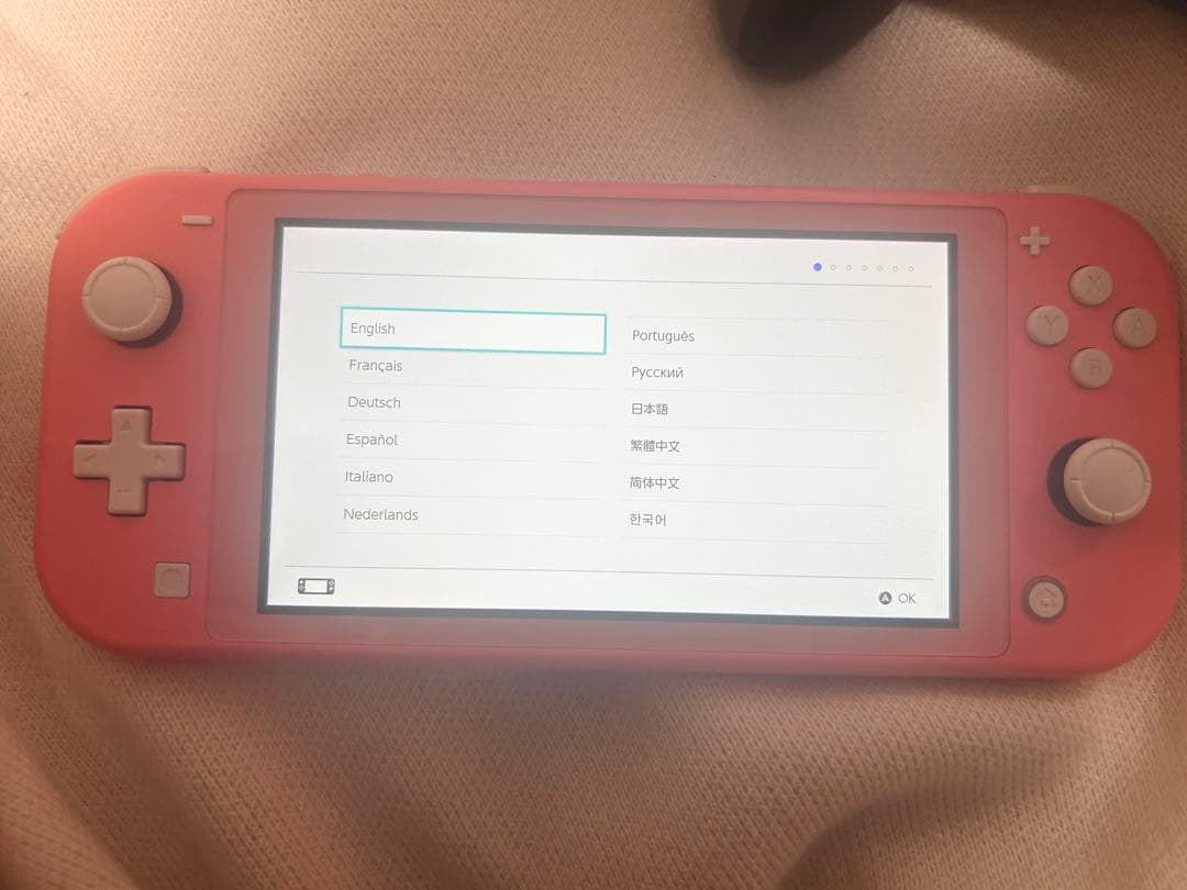 【一部不良あり】Nintendo Switch Lite 本体 充電器付き
