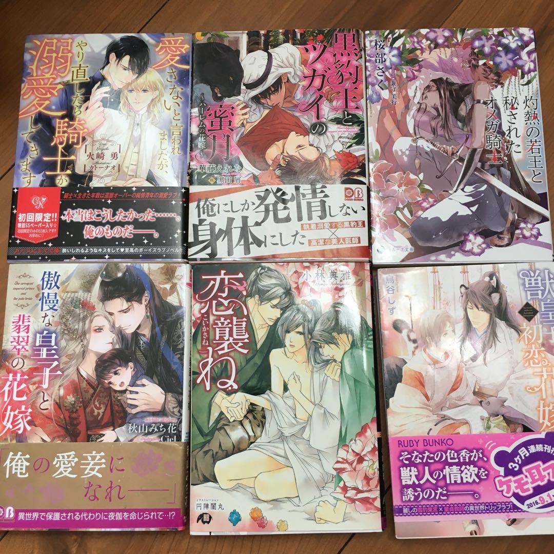 文学・小説　BL 32冊セット