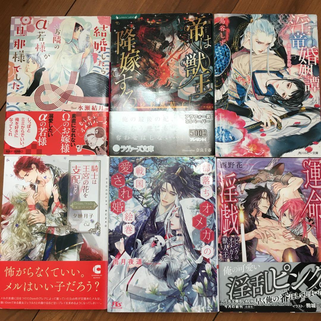 文学・小説　BL 32冊セット