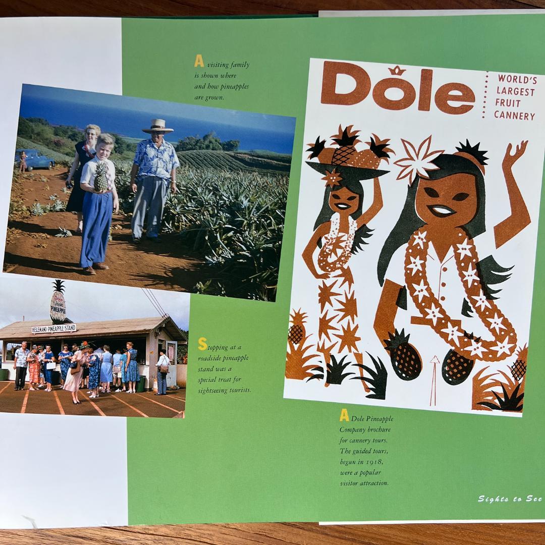 The Lure of Hawaii in the Fifties　ハワイ　洋書