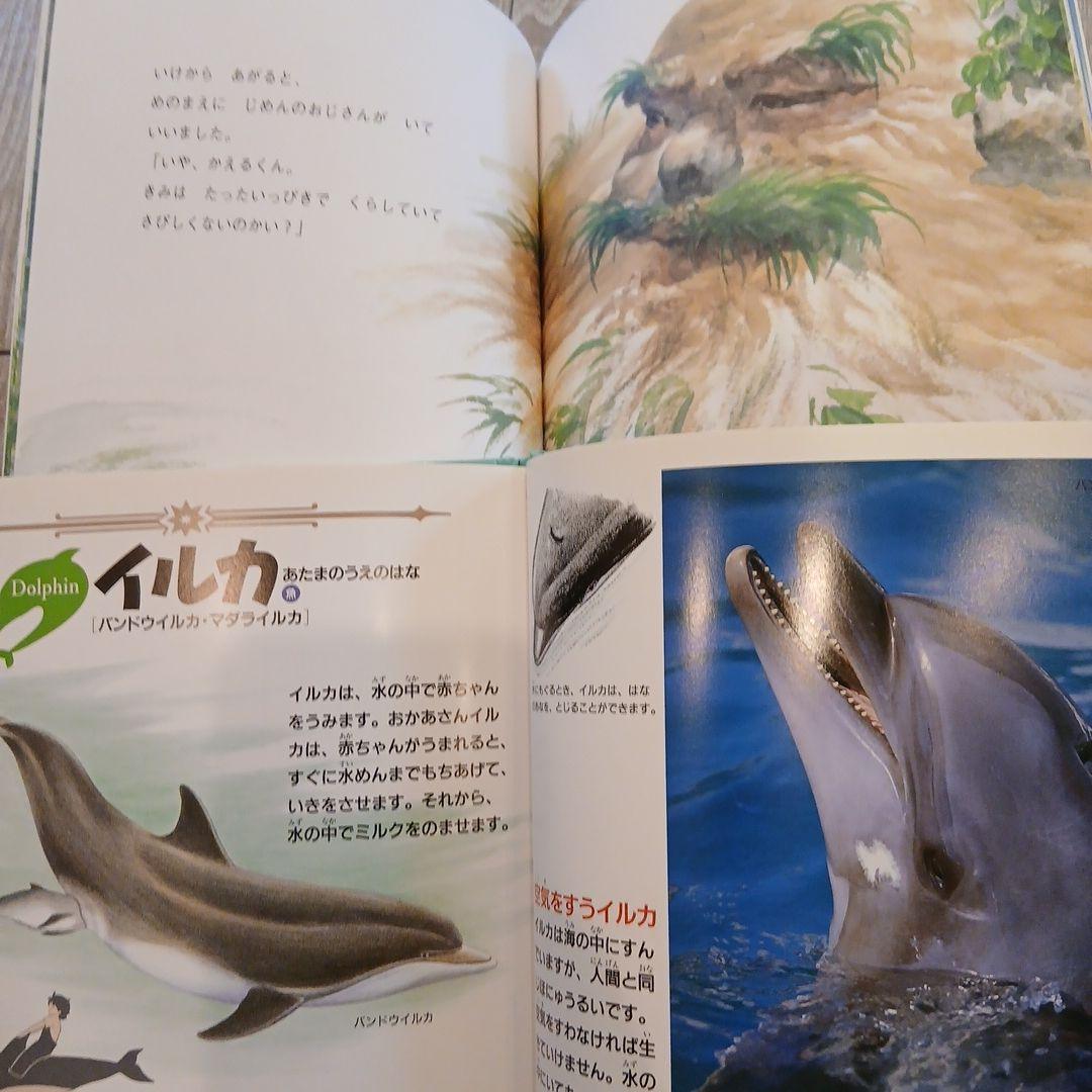 【2歳～】くもん推薦図書、福音館書店など　絵本まとめ売り51冊