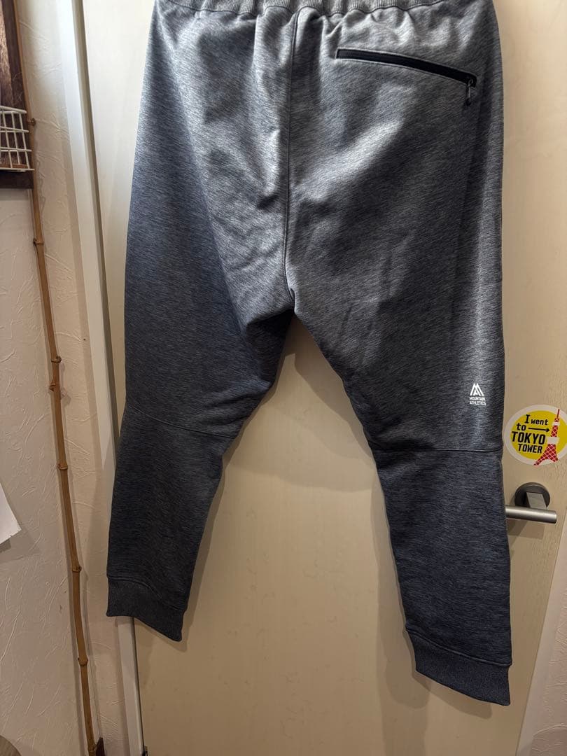 shinTHE NORTH FACE グレー パンツ