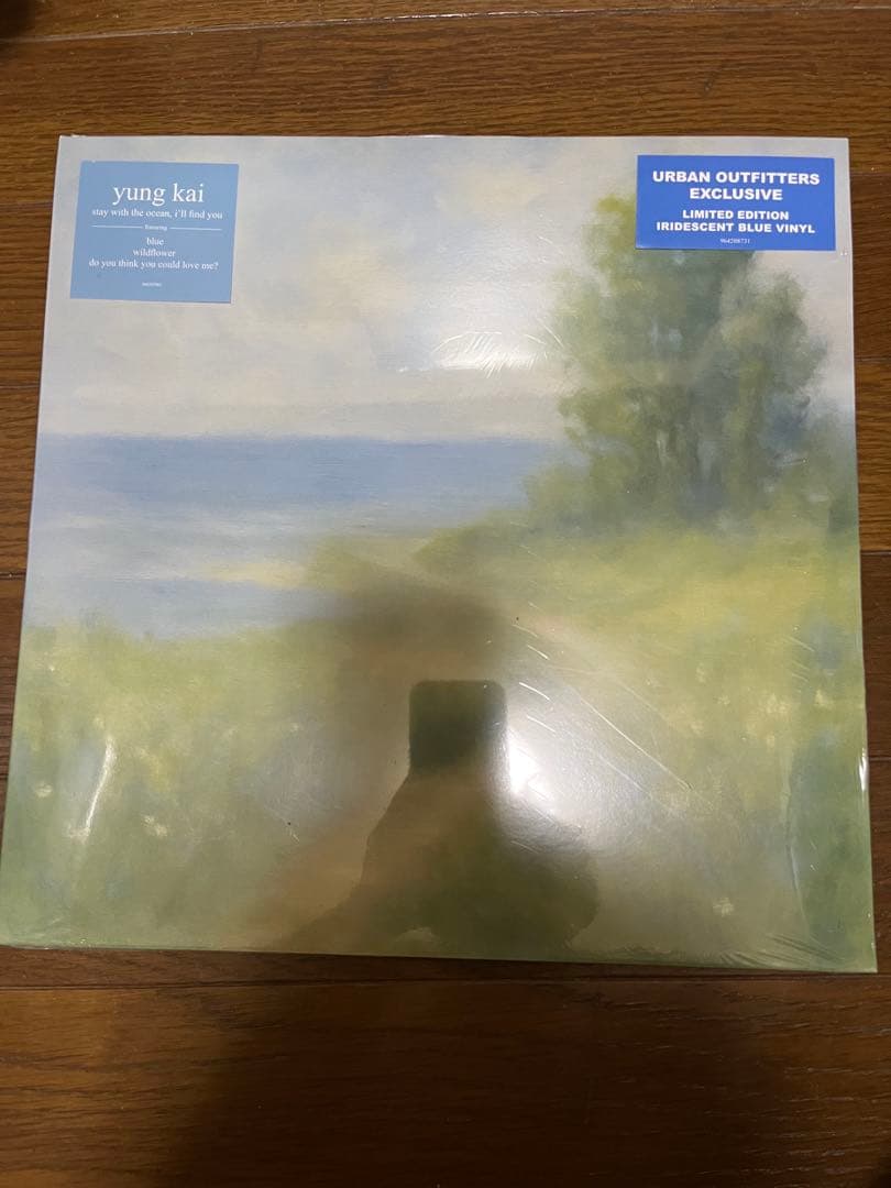 Yung Kai アナログレコード blue収録 フリーレン