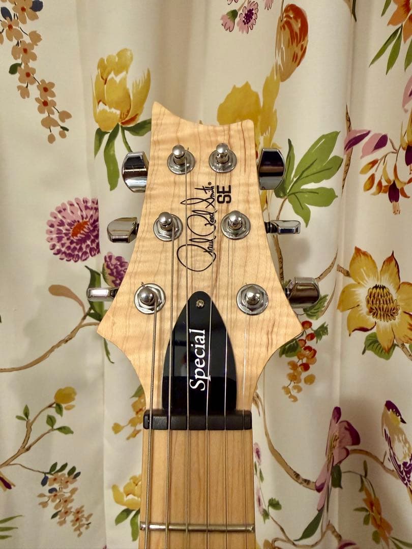 ギター se swamp ash special prs Paul Reed Smith