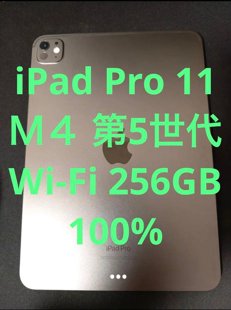 iPad Pro 11 第5世代 M4 256GB Wi-Fi スペースブラック