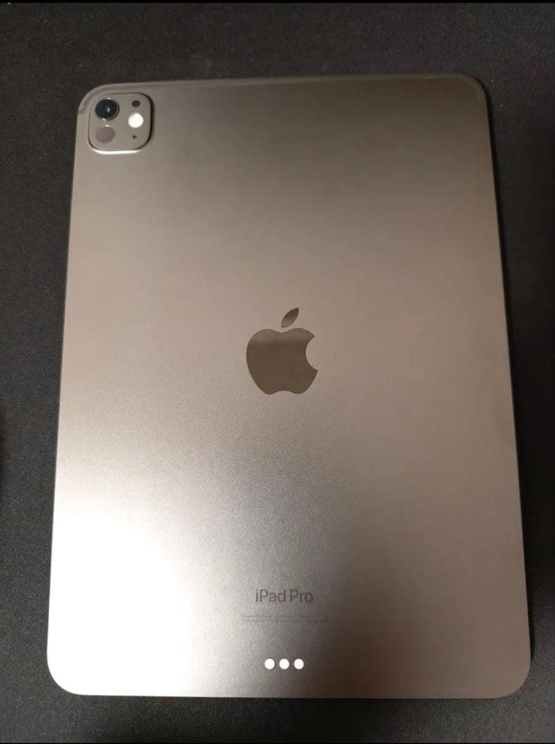 iPad Pro 11 第5世代 M4 256GB Wi-Fi スペースブラック