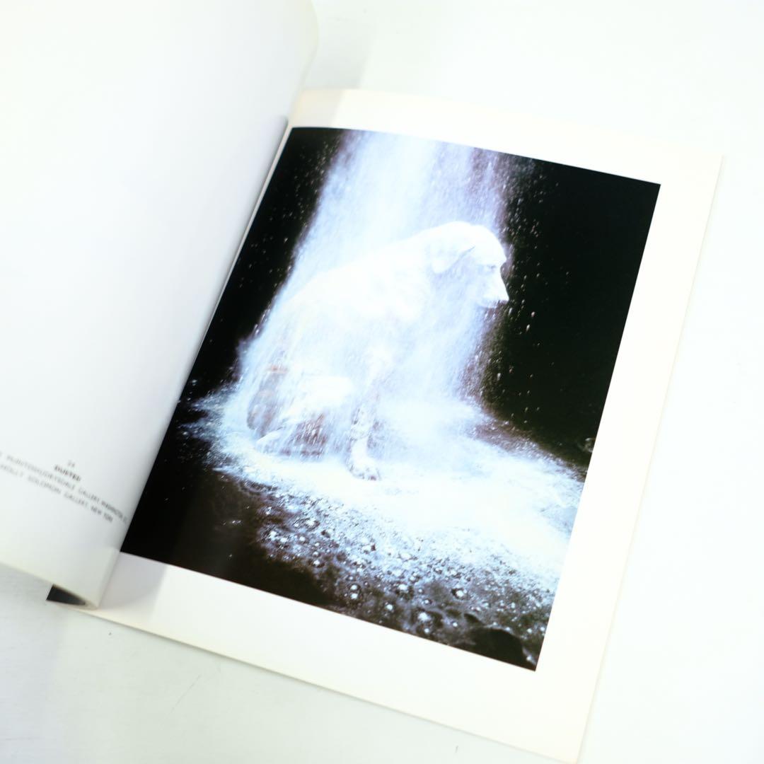MAN'S BEST FRIEND WILLIAM WEGMAN 洋書　写真集