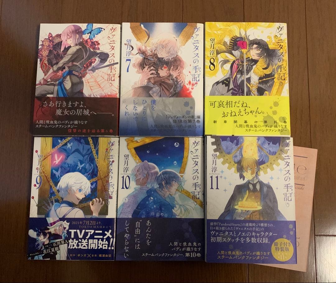 『ヴァニタスの手記①〜⑪』望月淳