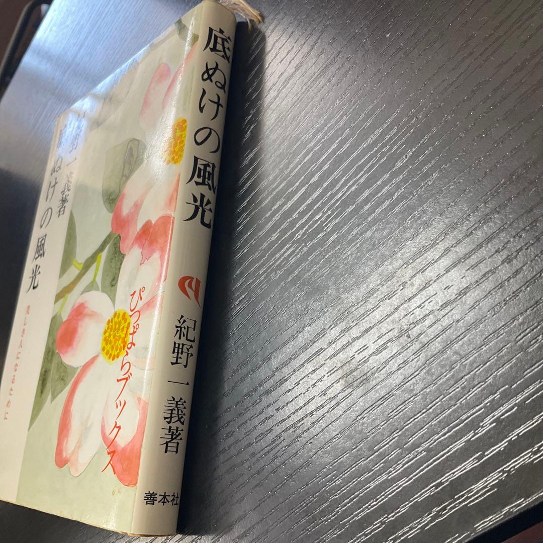 底ぬけの風光　紀野一義　善本社