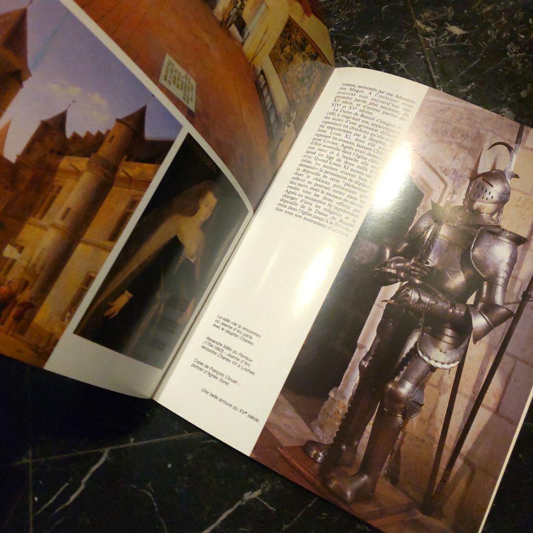 LES CHATEAUX DE LA LOIRE ロワール渓谷の城 仏語 洋書