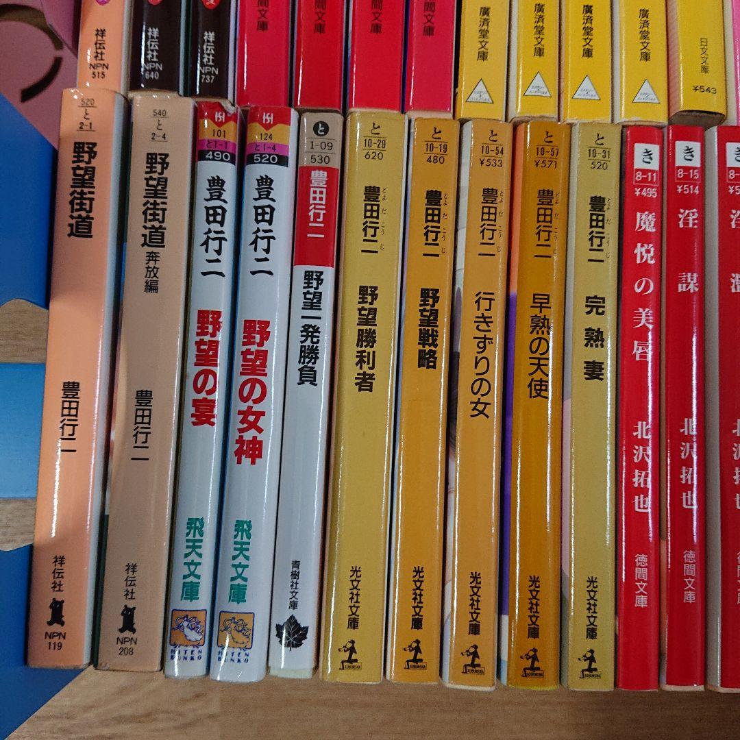官能小説55冊セット/南里征典・豊田行ニ 等