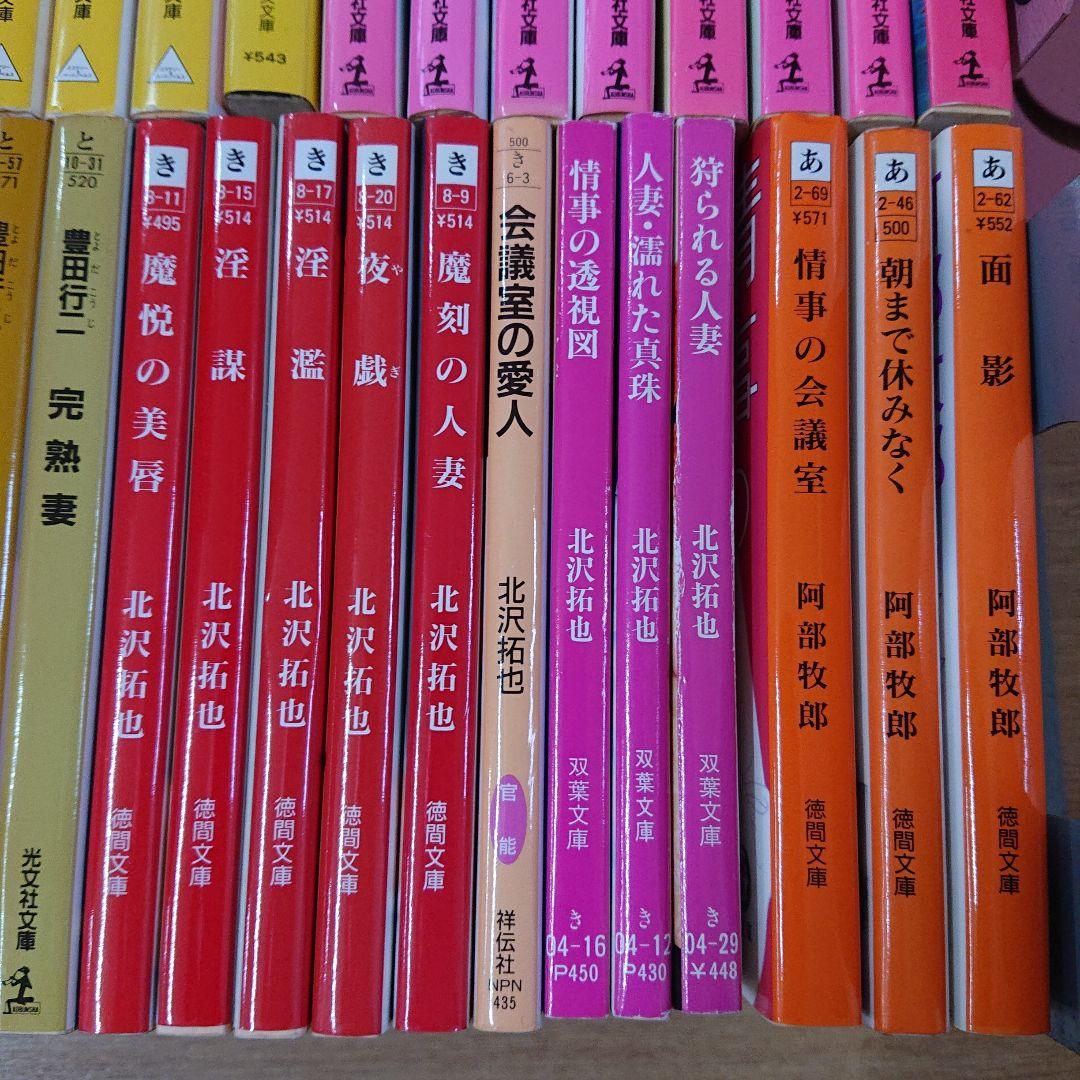 官能小説55冊セット/南里征典・豊田行ニ 等