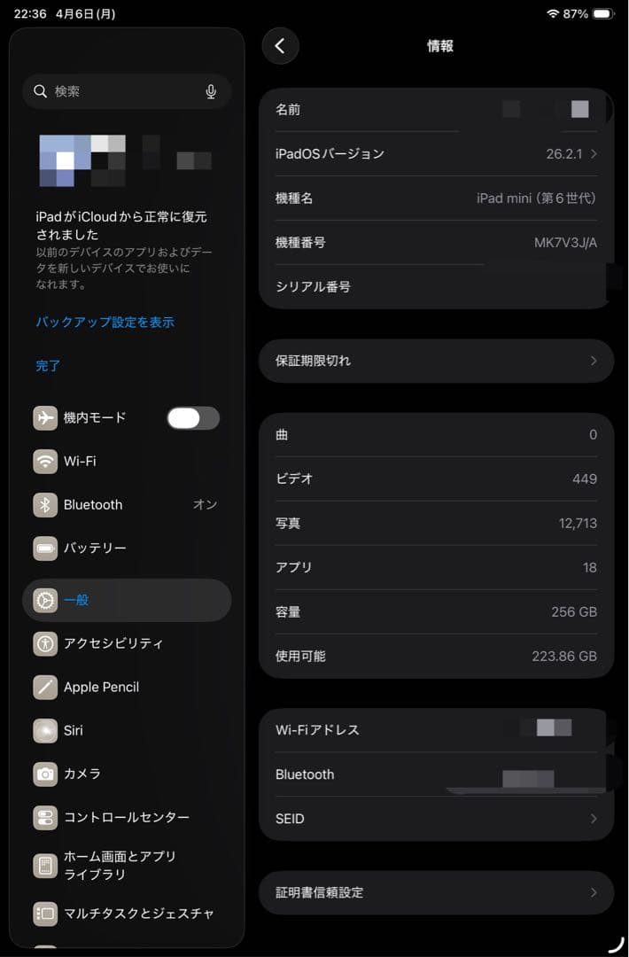 Apple 【Wi-Fi】 iPad mini（第6世代/2021） 256GB