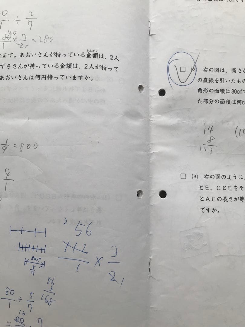 しらたまさん専用　日能研　後期分学習力育成テスト、冬期講習テスト10回分
