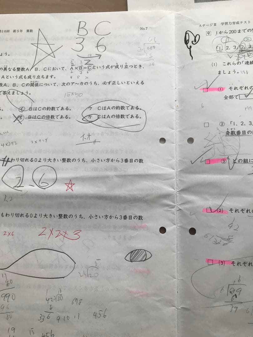 しらたまさん専用　日能研　後期分学習力育成テスト、冬期講習テスト10回分