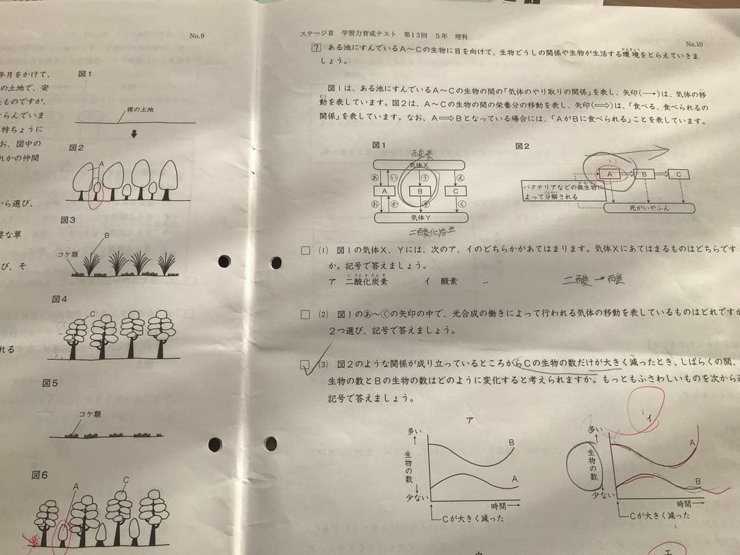 しらたまさん専用　日能研　後期分学習力育成テスト、冬期講習テスト10回分