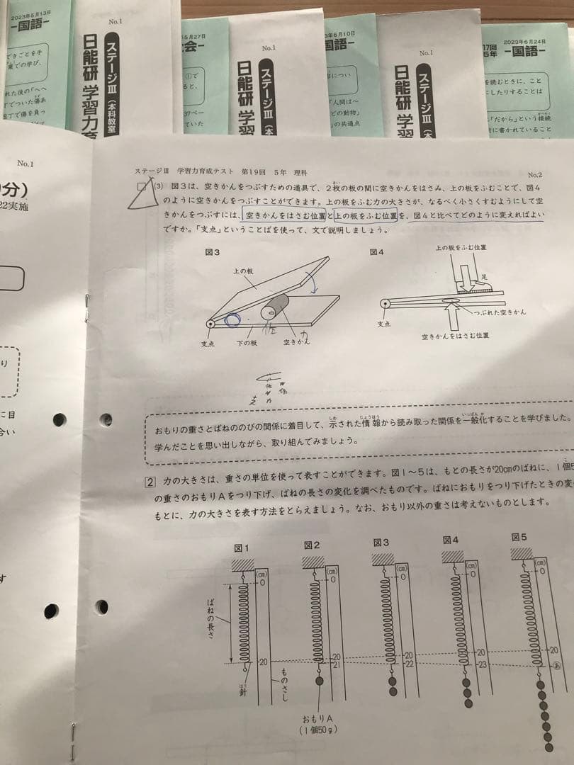 しらたまさん専用　日能研　後期分学習力育成テスト、冬期講習テスト10回分