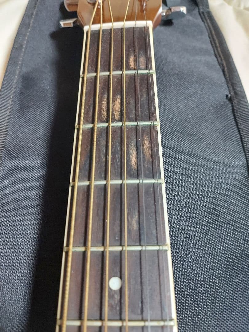 Morris アコースティックギター サンバースト【MF-306 RBS】