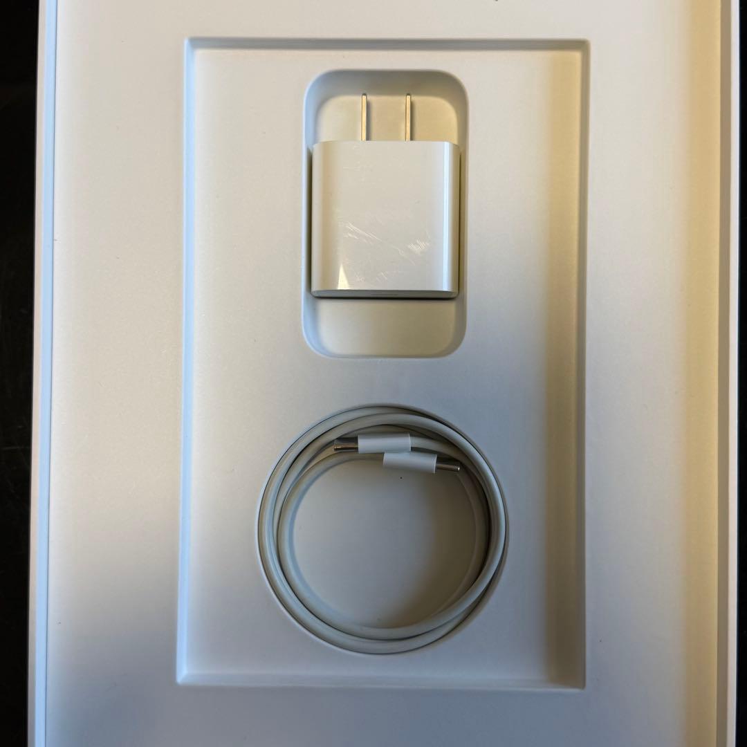 【美品, Pencil&ケース付】iPad Air 4 256GB Wi-Fi