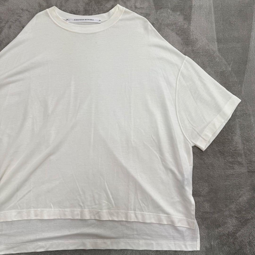 Noble別注 コグザビッグスモーク DELTA T-SHIRT オフホワイト