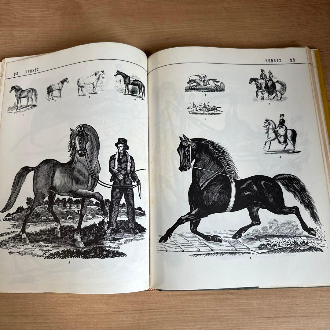 Handbook of Early Advertising Art 海外イラスト