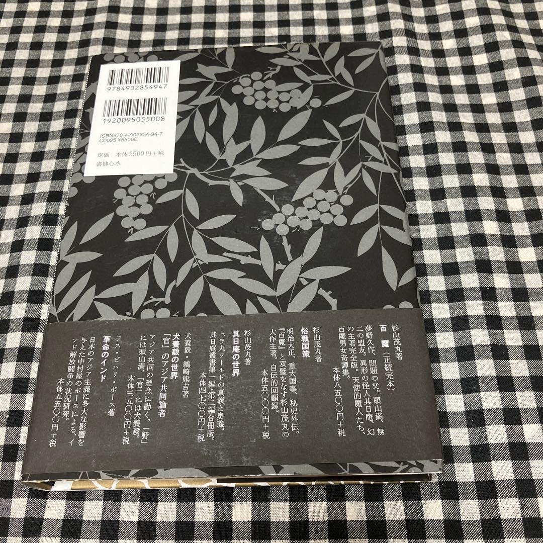 頭山満思想集成
