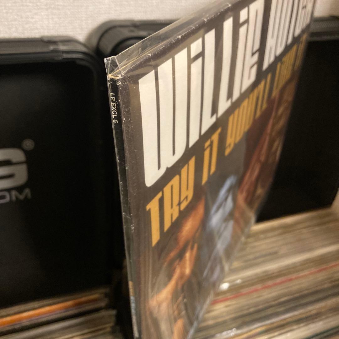 ウィリー・ハッチ Try It You'll Like It 2LP