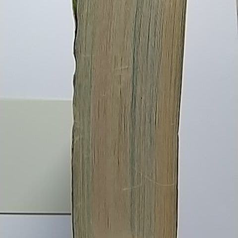 なかよし増刊号　2009 　5月号