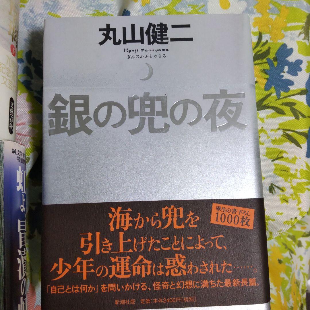 丸山健二 作品集 5冊セット 千日の瑠璃 虹よ 銀の兜の夜