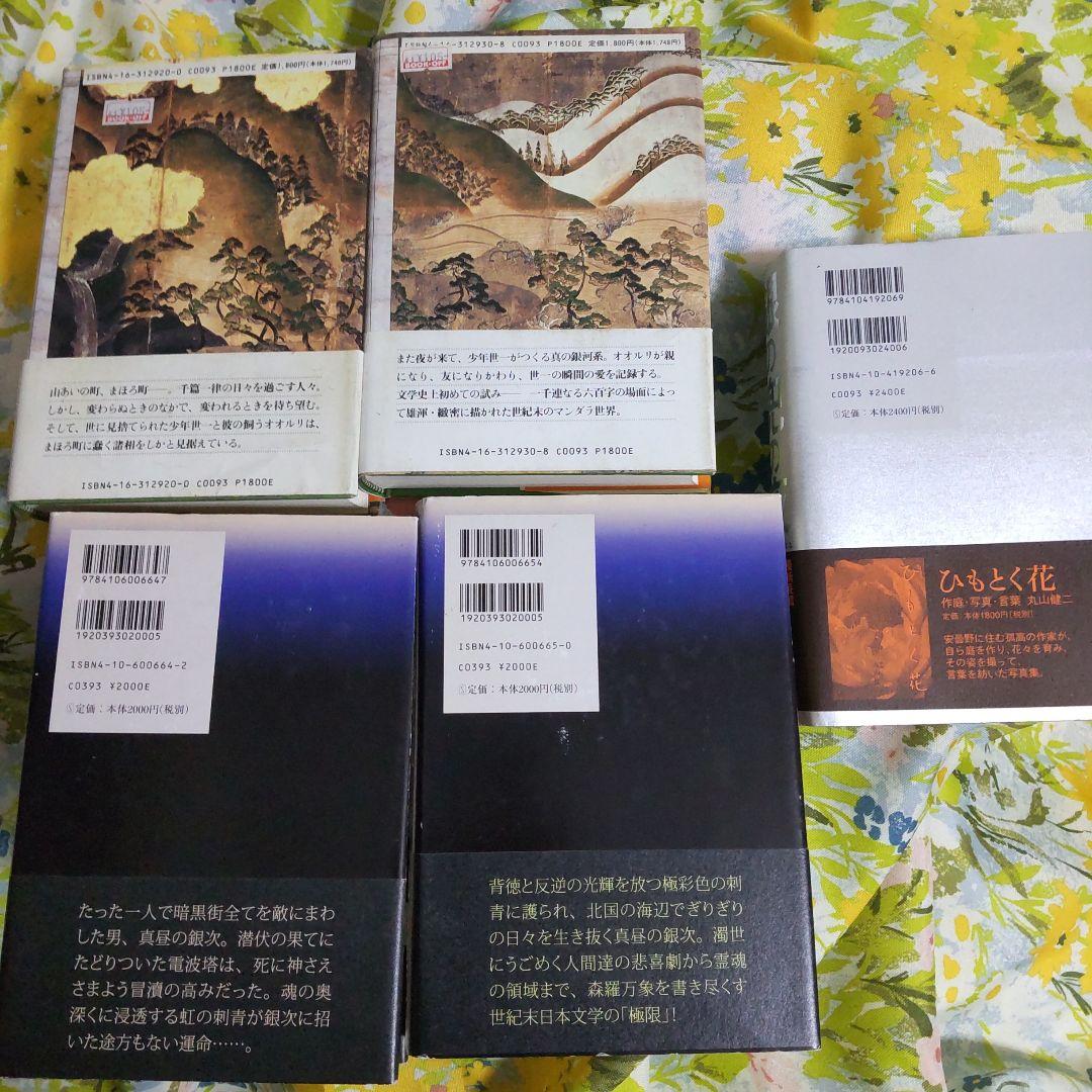 丸山健二 作品集 5冊セット 千日の瑠璃 虹よ 銀の兜の夜