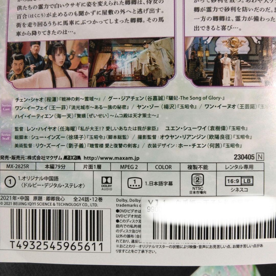 中国ドラマ　白兎姫 王子と私の物語 DVD全巻 チェン・シャオ　レンタル落ち