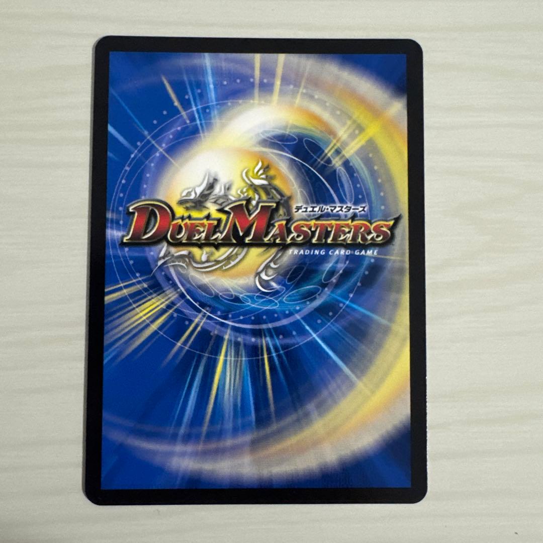 メルカリ便 飛翔龍 5000VT CS プロモ