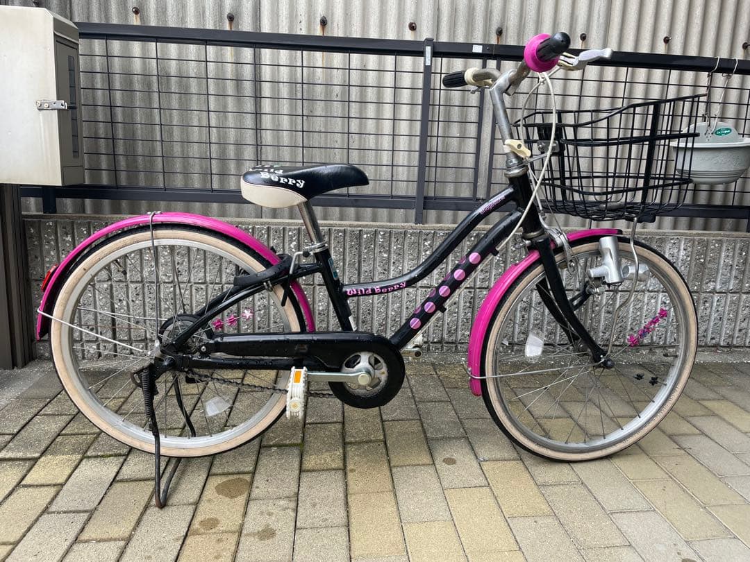 BRIDGESTONE Wild Berry ブリヂストンワイルドベリー