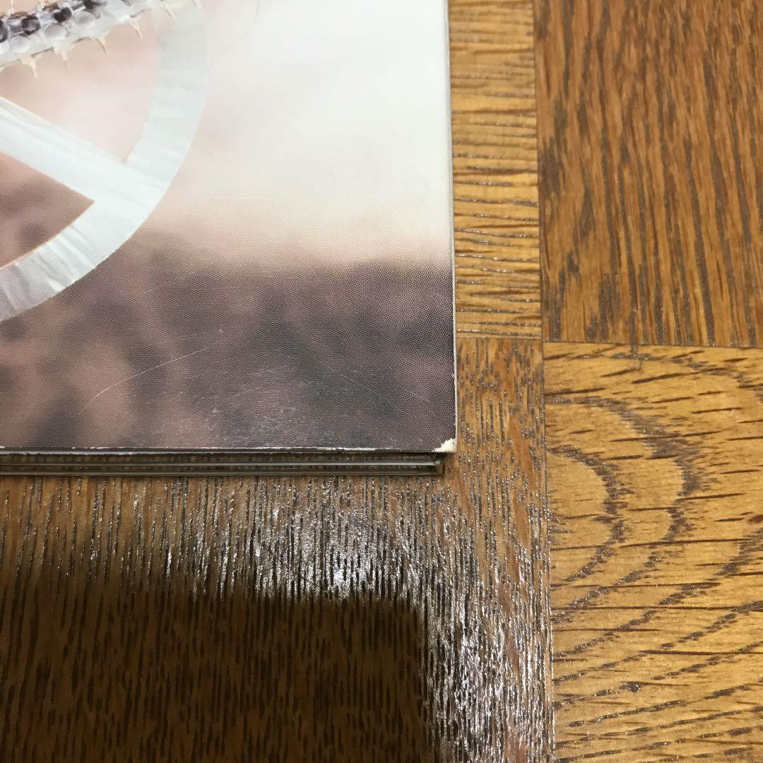 洋楽 Carcass / Heartwork