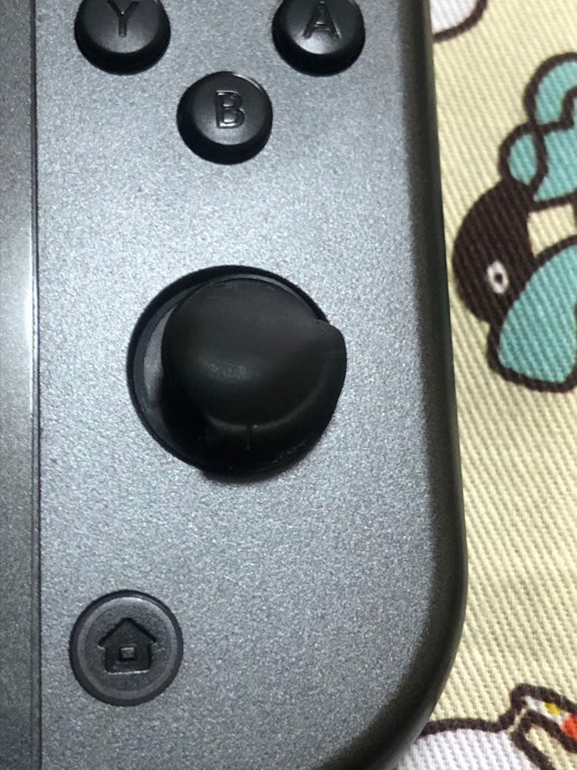 Nintendo Switch Nintendo SwitchLite Dialga Palkia