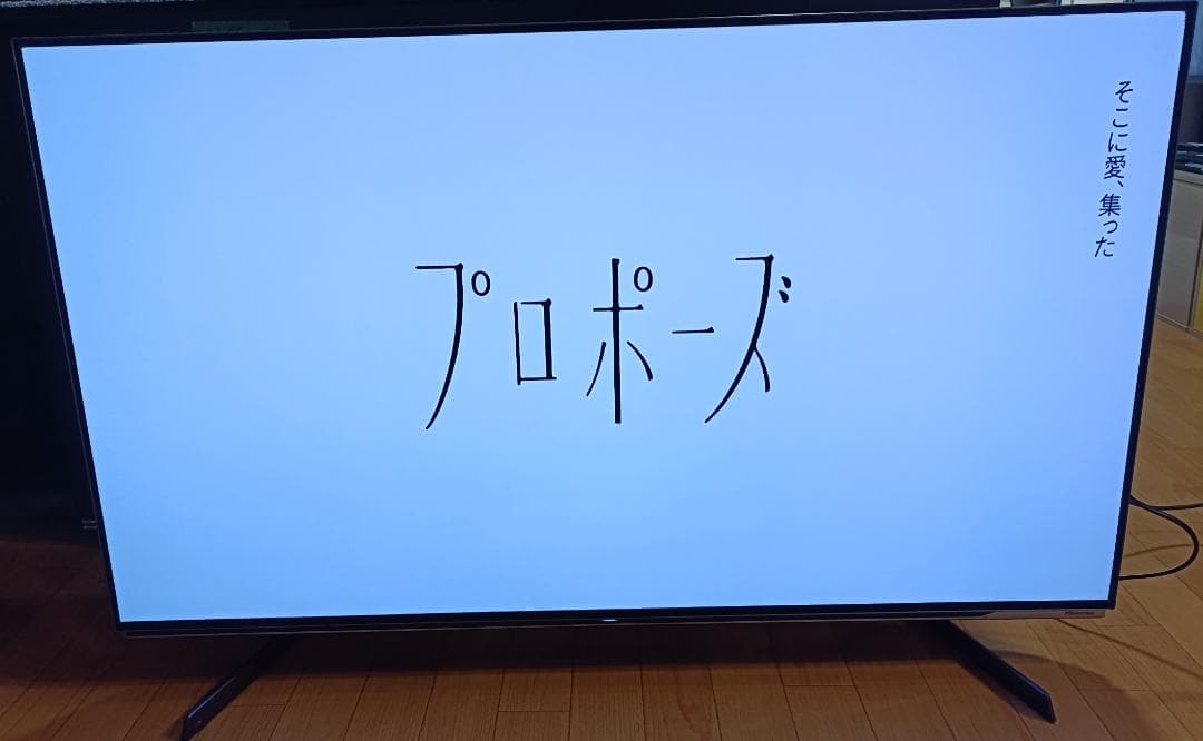 値下げ‼️21年製 美品 Hisense 48V型48X8F 4K有機EL