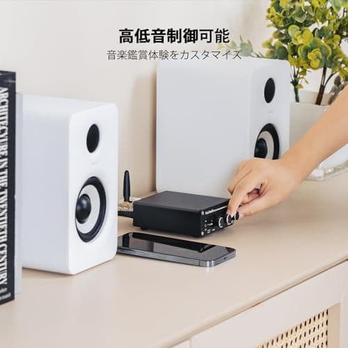 AFosi Audio BT20A Bluetooth 5.0 パワーアンプ 2