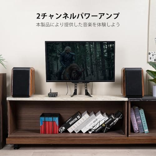 AFosi Audio BT20A Bluetooth 5.0 パワーアンプ 2