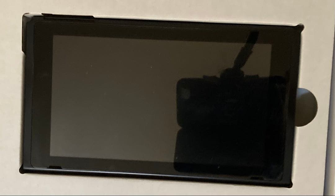 Nintendo Switch Switch Nintendo Switch Joy-Con