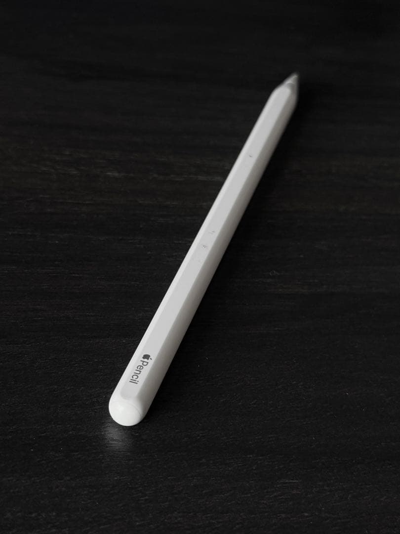 正常動作確認済み　Apple Pencil 第2世代　MU8F2J/A　s9