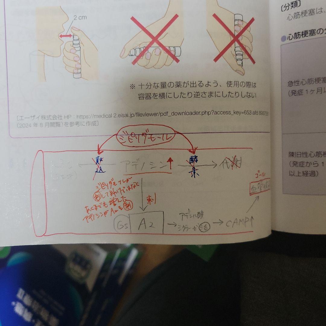 第111回 薬剤師国家試験 青本 青門 薬ゼミ 1年コース