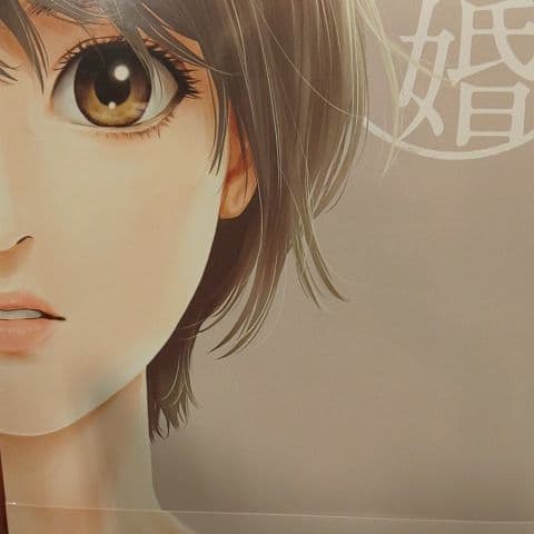 【現品限り】ハレ婚 全２０巻完結セット NON
